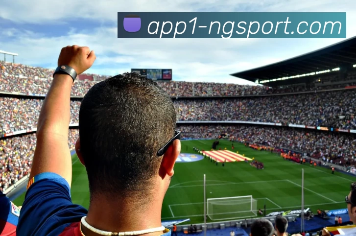 NG体育发展历程